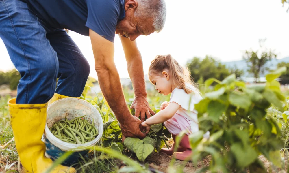 My Top Dividend Bargains For April 2026