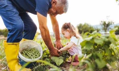 My Top Dividend Bargains For April 2026