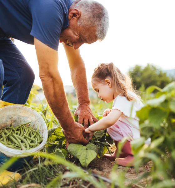 My Top Dividend Bargains For April 2026