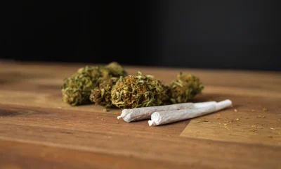 NewLake Capital Partners Stock: Double-Digit Yield From Cannabis Landlord (OTCMKTS:NLCP)