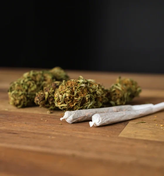 NewLake Capital Partners Stock: Double-Digit Yield From Cannabis Landlord (OTCMKTS:NLCP)