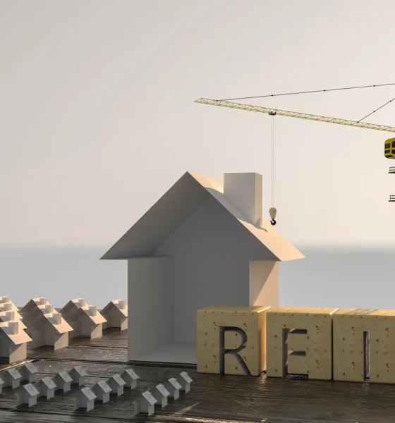 Alpine Income Property Trust: Appealing As Both A Dividend Stock & Growth Story (PINE)