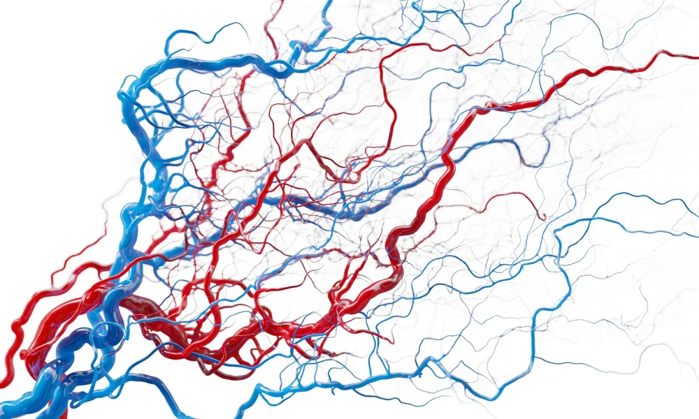 AngioDynamics Growing, But With More Noise Than The Street Likes (NASDAQ:ANGO)