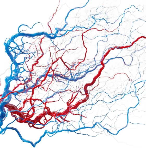 AngioDynamics Growing, But With More Noise Than The Street Likes (NASDAQ:ANGO)