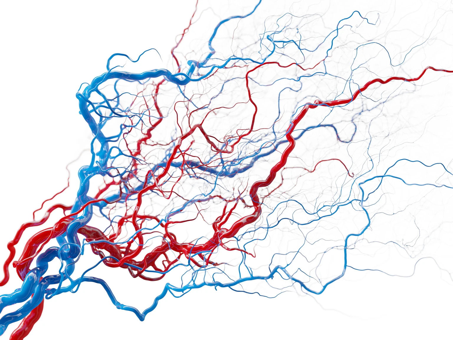 AngioDynamics Growing, But With More Noise Than The Street Likes (NASDAQ:ANGO)