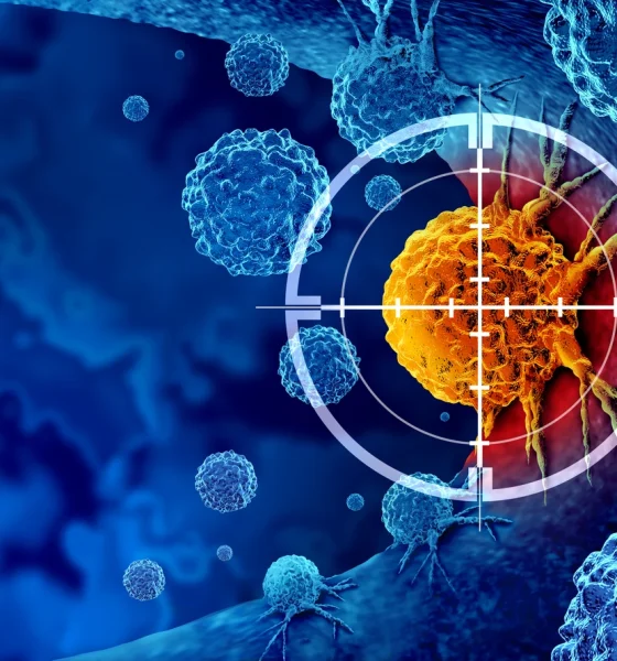 A Dog, A Diagnosis And A Different Way To Understand AI