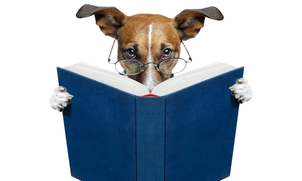 Buy 5 Ideal 'Safer' Dividend Dogs Of 40 March ReFa/Ro