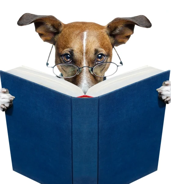 Buy 5 Ideal 'Safer' Dividend Dogs Of 40 March ReFa/Ro