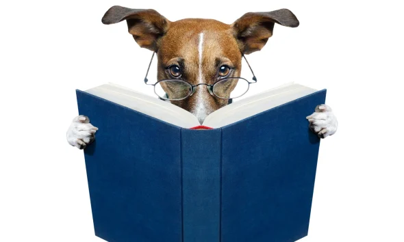 Buy 5 Ideal 'Safer' Dividend Dogs Of 40 March ReFa/Ro