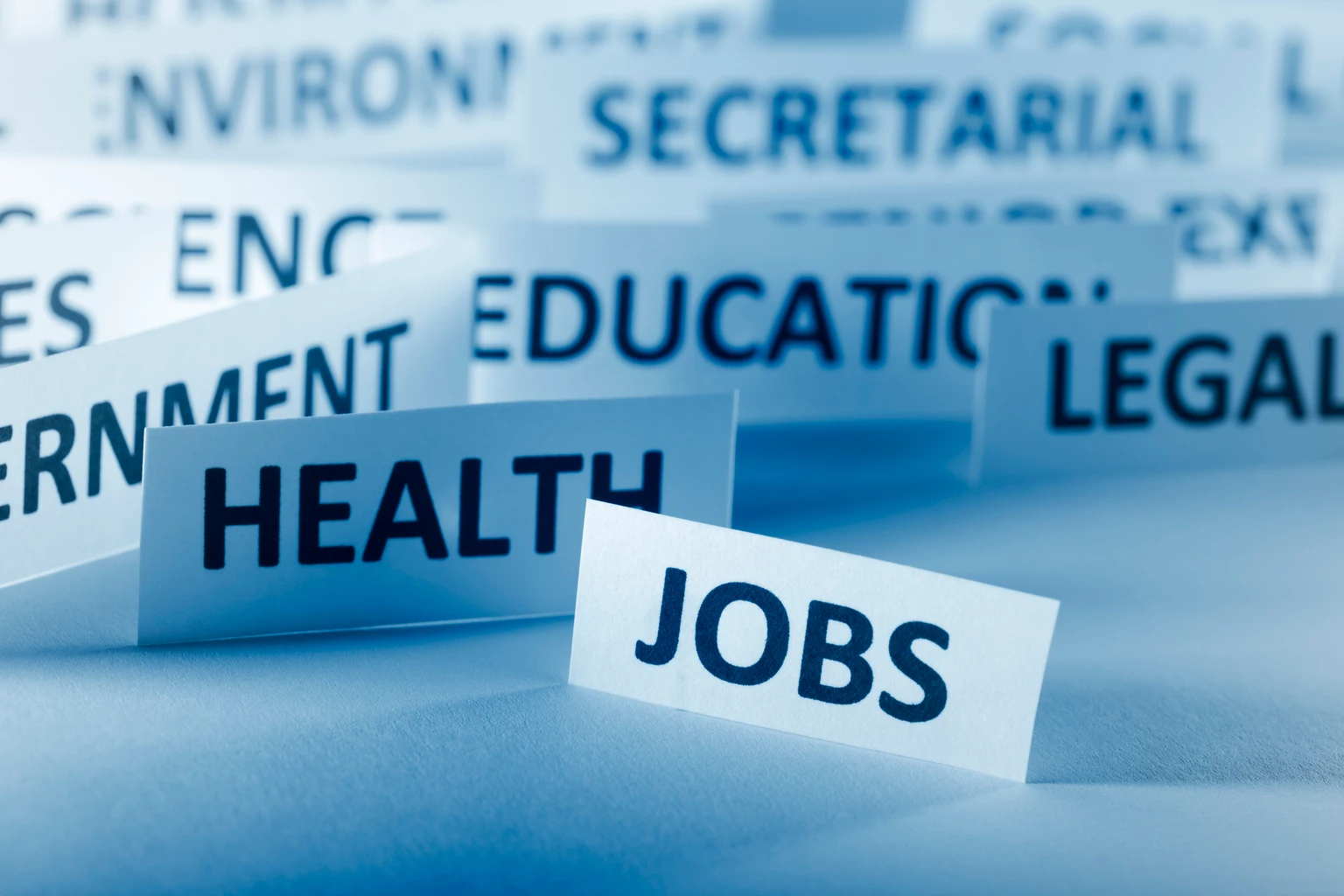 March Jobs Report: A Muddled Picture