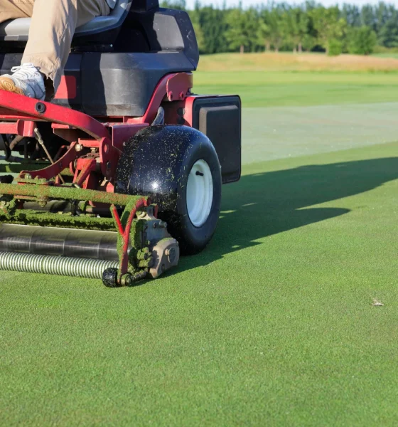 Cutting and maintaining putting green