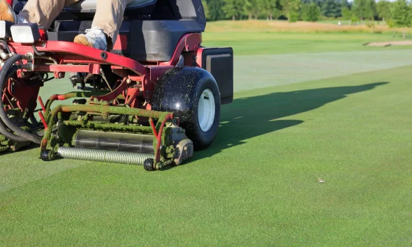 Cutting and maintaining putting green