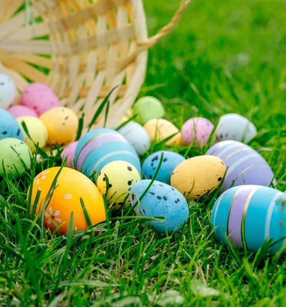Don't Put All Your REIT Eggs In One Basket