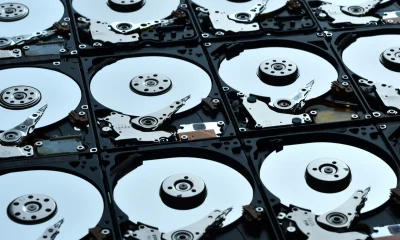 Western Digital’s Q3 Preview: Great News From An AI Industry Peer (NASDAQ:WDC)