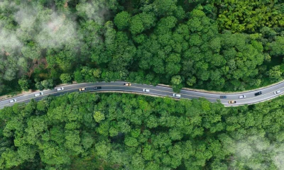 Carbon Emissions Compliance May Redefine Corporate Strength