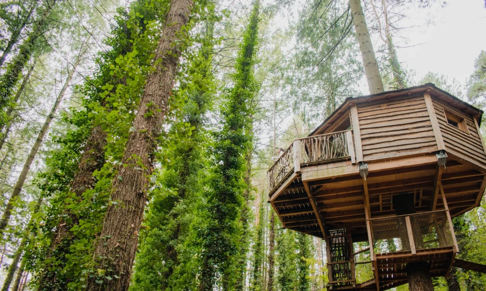 I Am Sharing Two Of My Retirement High-Yield Gems