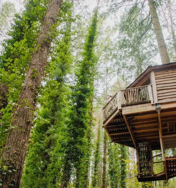 I Am Sharing Two Of My Retirement High-Yield Gems