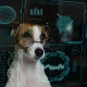 Datadog: AI Complexity Turning It Into A Must-Have Platform