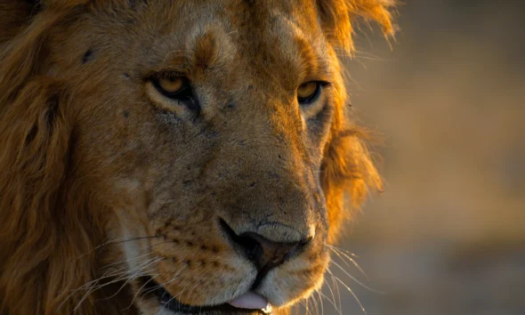 Microsoft Is 11% Of My NAV And I'm Targeting Monster Returns