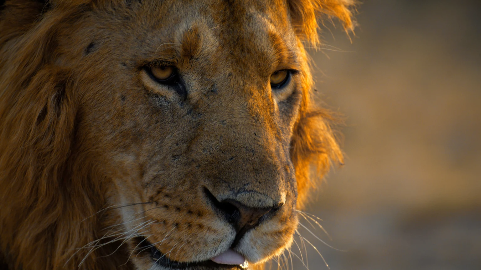 Microsoft Is 11% Of My NAV And I'm Targeting Monster Returns