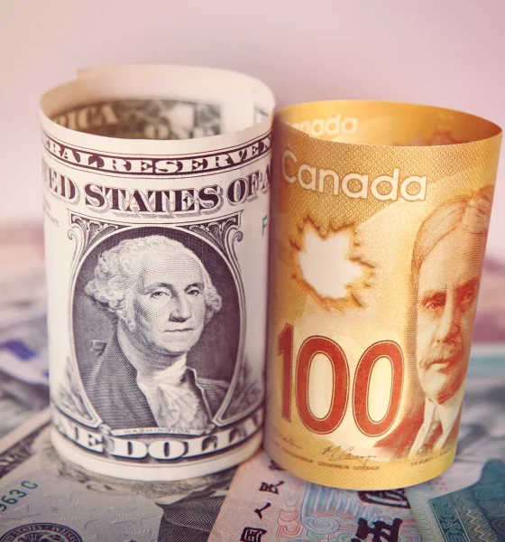 FXC: Understanding The Benefits And Risks Of Adding Currency Exposure To Your Portfolio