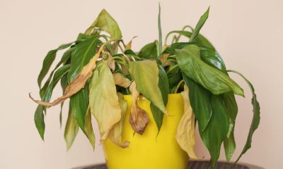 Alexandria Real Estate: My Plan To Wait It Out Fell Apart