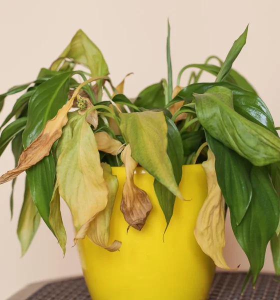 Alexandria Real Estate: My Plan To Wait It Out Fell Apart