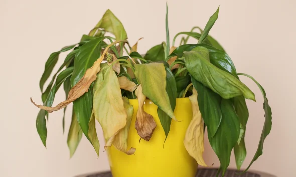 Alexandria Real Estate: My Plan To Wait It Out Fell Apart