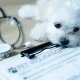 U.S. Pet Insurance Market Growth Slows In 2025, But Still Robust