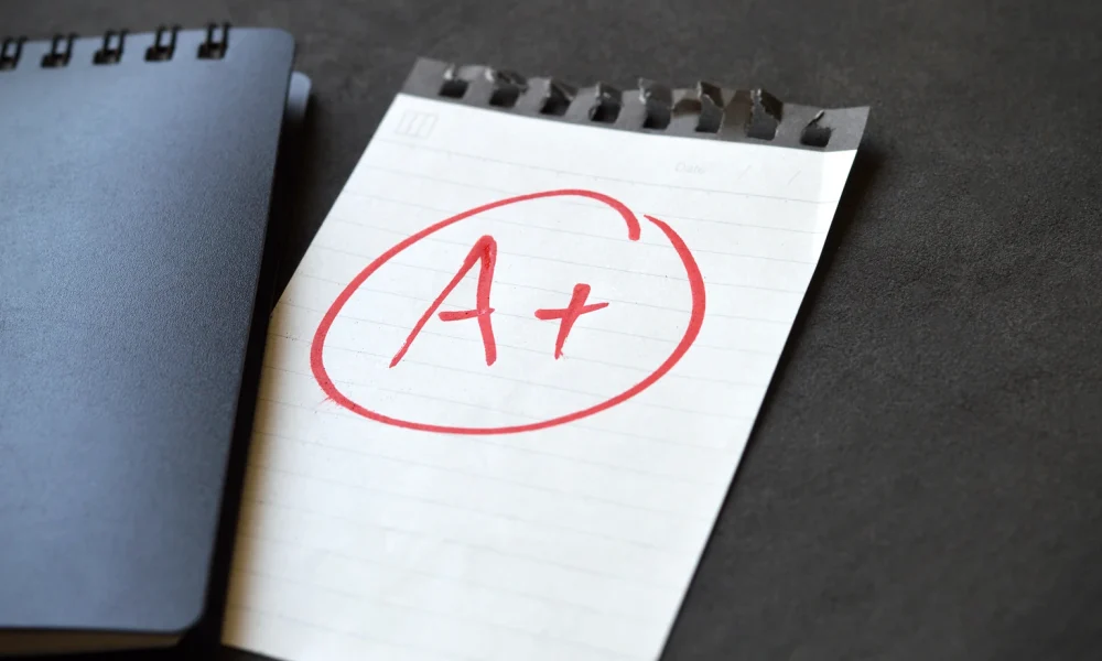 Celestica: Mr. Market Gives Us A Perfect Opportunity To Load Up (Upgrade) (NYSE:CLS)