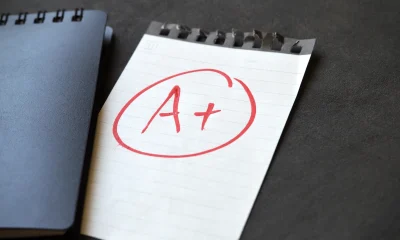 Celestica: Mr. Market Gives Us A Perfect Opportunity To Load Up (Upgrade) (NYSE:CLS)