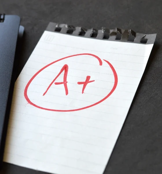 Celestica: Mr. Market Gives Us A Perfect Opportunity To Load Up (Upgrade) (NYSE:CLS)