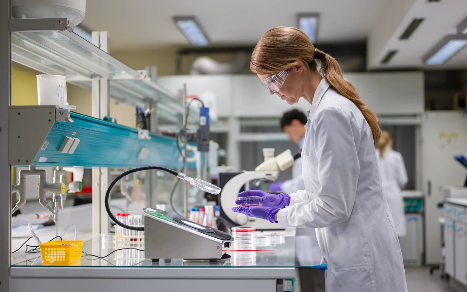 Praxis: Strong Buy As Relutrigine Submission Accepted Plus Expansion Potential (PRAX)