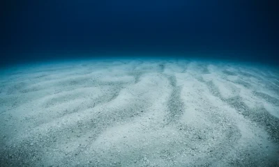 Kraken Robotics: Tailwinds Are Too Strong To Ignore (OTCMKTS:KRKNF)