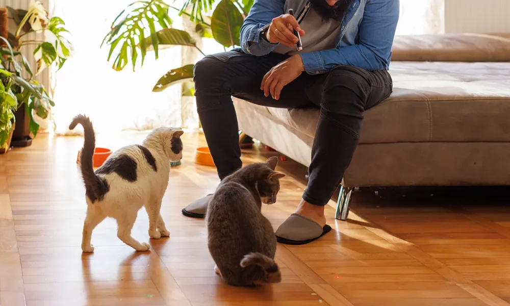 More than 50,000 toys recalled nationwide over ‘death’ risk to children