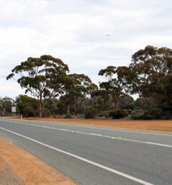 RGR Road Haulage fined $550k over truck driver’s death