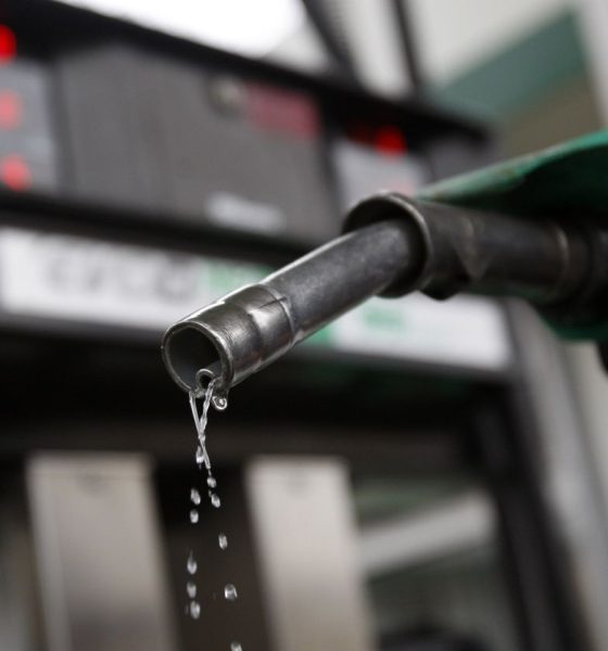 A man poses with a gasoline pump at a Budapest petrol station January 19, 2011.