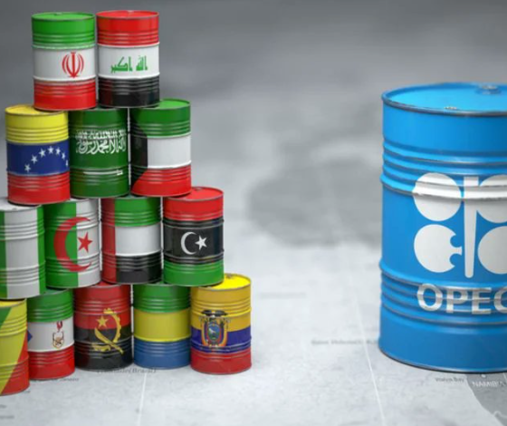 Elon Musk, who had shown growing signs of frustration with the obstacles faced by his so-called Department of Government Efficiency (DOGE), has parted ways with Donald Trump