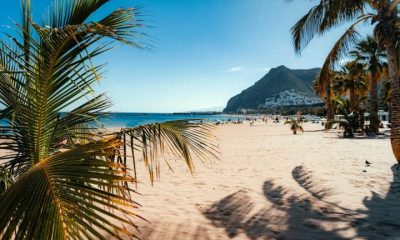 Playa de Las Teresitas beach in Tenerife with golden sand, palm trees, and mountains under a clear summer sky
