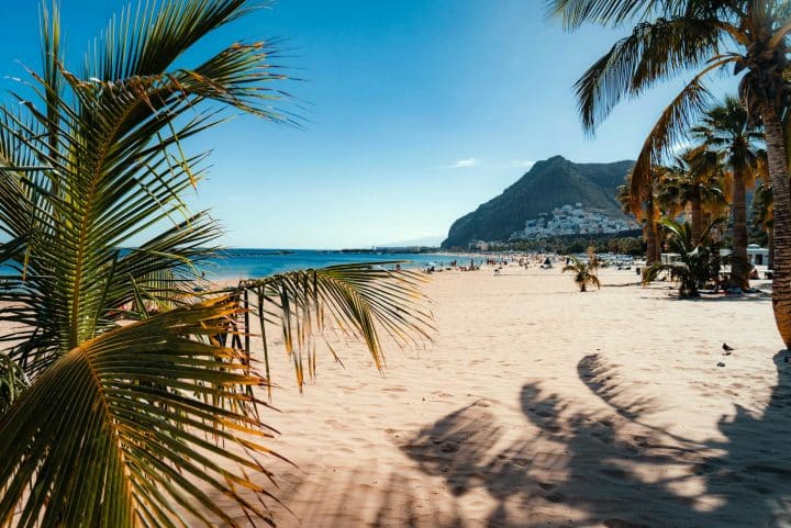 Playa de Las Teresitas beach in Tenerife with golden sand, palm trees, and mountains under a clear summer sky