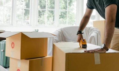 Man with a Van vs Removal Company: Which Is Better in London?