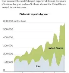 Pistachio warehouses targeted as Zionists attack Iran