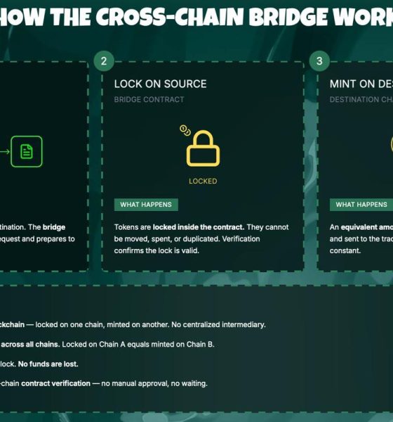 Best Crypto to Buy Now: Pepeto Raises Above $8.1M as Investors Look Past BTC and XRP During the Correction