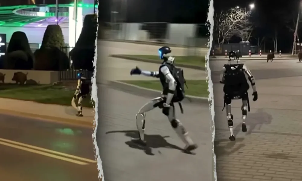 Humanoid robot chases wild boars in viral video