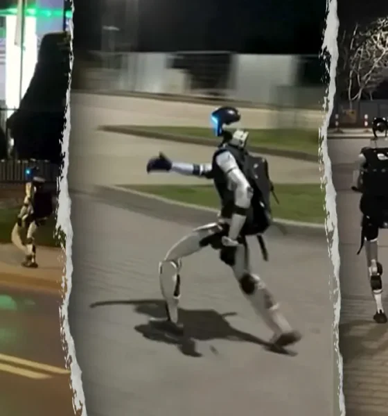 Humanoid robot chases wild boars in viral video