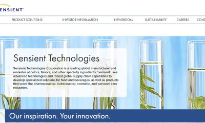 Is Navitas Semiconductor Website Down? User Experiences Brief Outage Amid