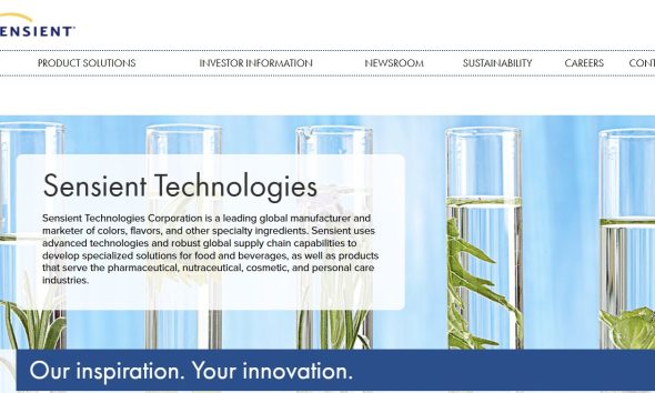 Is Navitas Semiconductor Website Down? User Experiences Brief Outage Amid