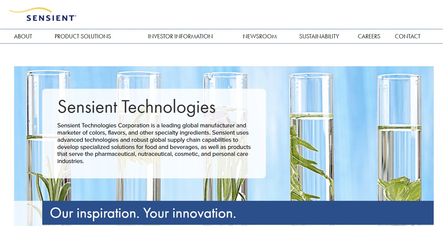 Is Navitas Semiconductor Website Down? User Experiences Brief Outage Amid