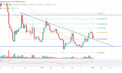 Shiba Inu SHIB price chart showing support levels and moving averages over time.