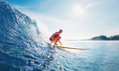 What went right this week: a ‘global milestone’ for ocean conservation, plus more